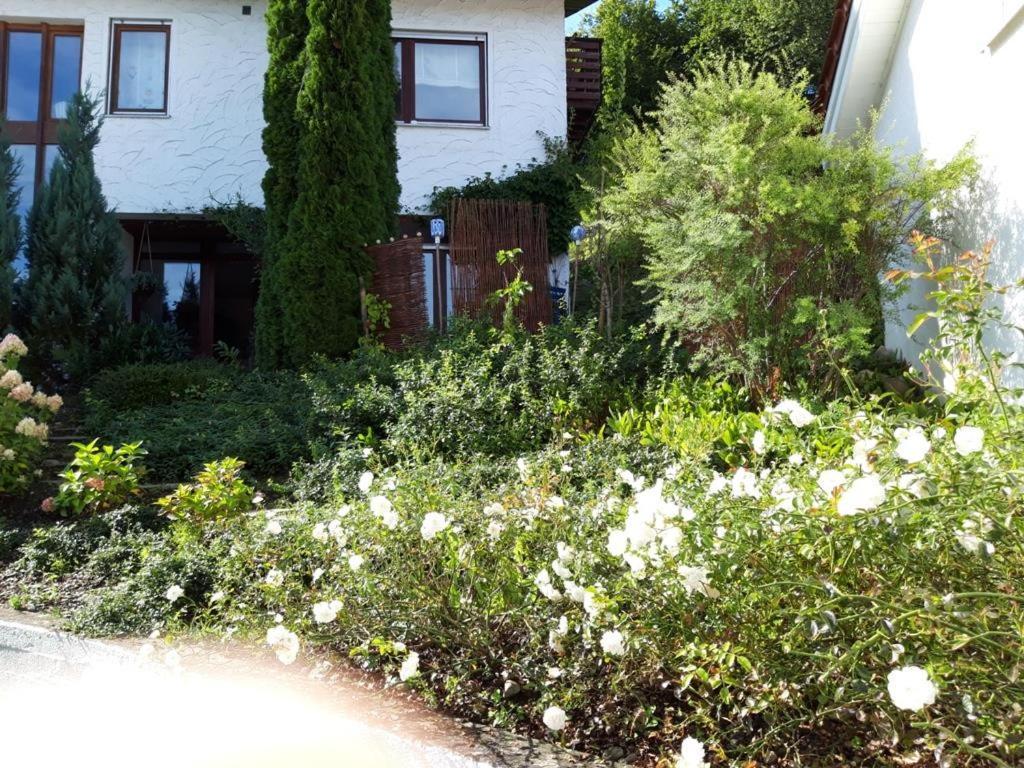 Ferienwohnung Rosa Muller Wangen im Allgäu Екстериор снимка